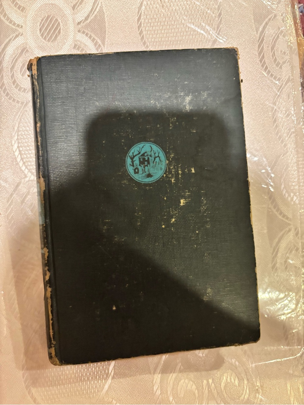 Vintage book Plunder of the sun